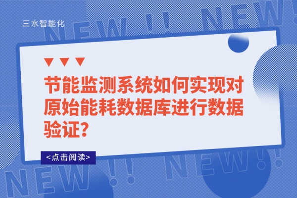 节能监测系统如何实现对原始能耗数据库进行数据验证？